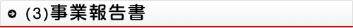 (3)事業報告書