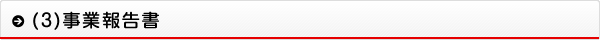 (3)事業報告書