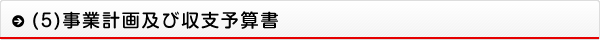 (5)事業計画及び収支予算書